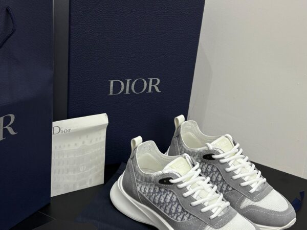 Dior B25 Grey