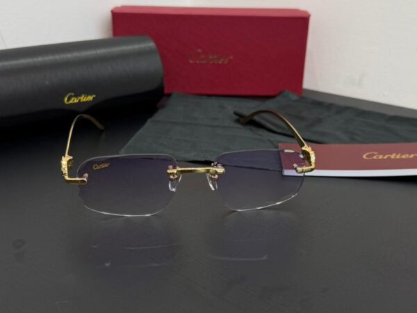 Cartier Bril Purple