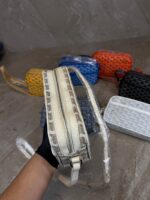 Goyard Cap Vert PM Bag Beige - Afbeelding 2